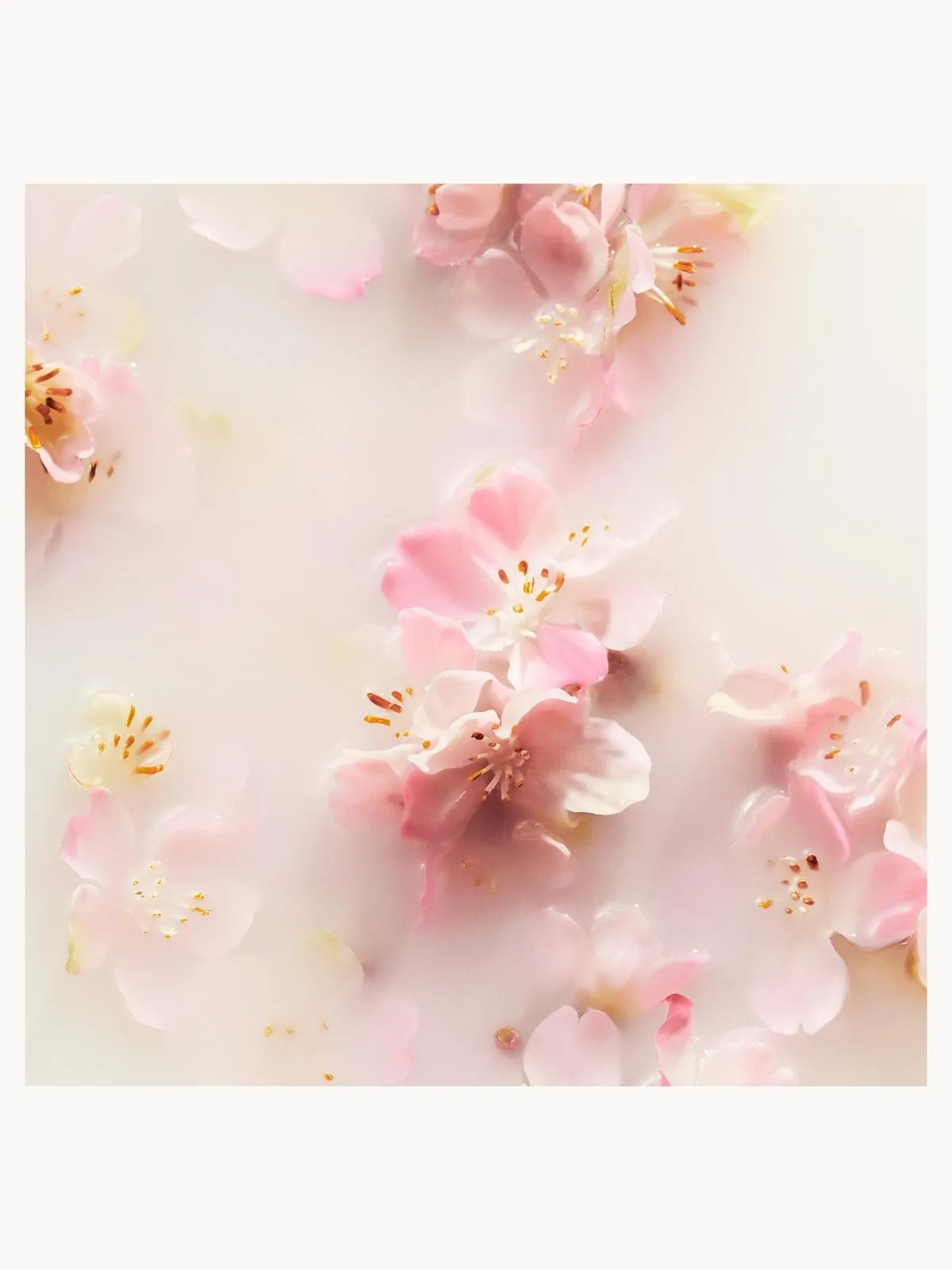 Rituals The Ritual of Sakura Gift Set